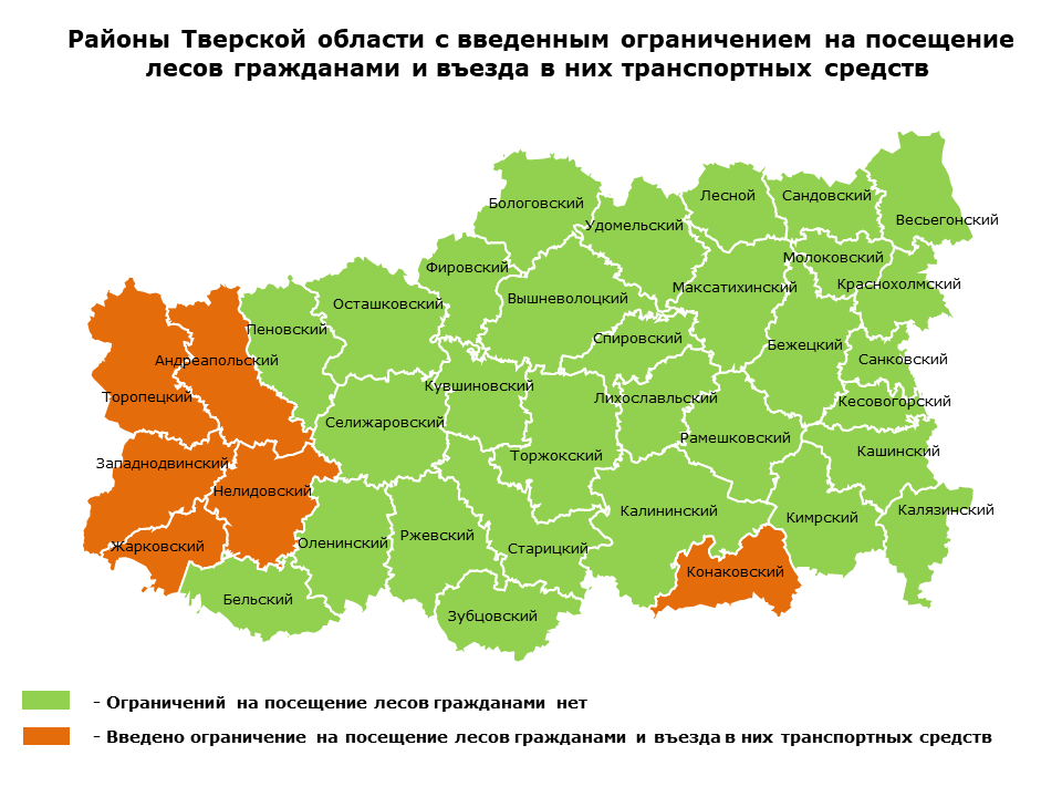 В 32 муниципалитетах Тверской области сняты ограничения пребывания гражданв лесах